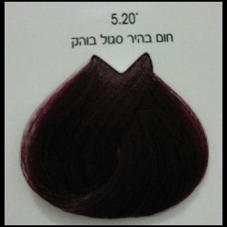 צבע לוריאל 5-20 חום בהיר סגול בוהק