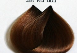 צבע לוריאל 8-3 בלונד בהיר זהוב  LOREAL