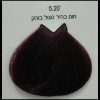 צבע לוריאל 5-20 חום בהיר סגול בוהק